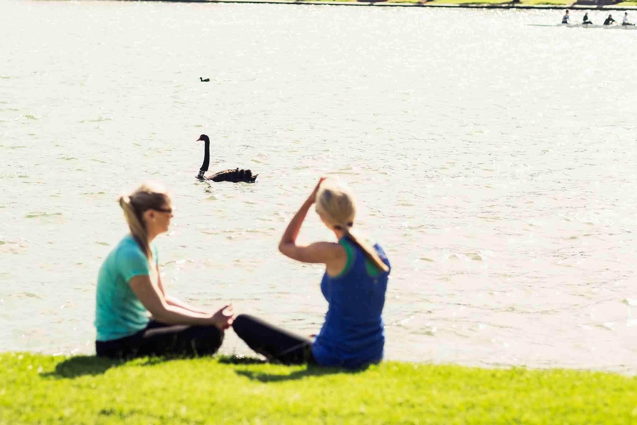 Pullman Melbourne Albert Park Экстерьер фото Two women sitting on the bank of the lake